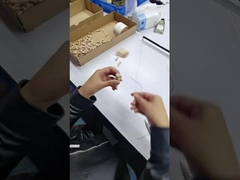 メイクブラシセット